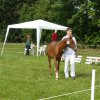 2008_06_15_ponyfestival